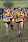 Girls under-15s, 2020 British Athletics Inter Counties Cross Country Champs., Prestwold Hall, Loughborough. Photo: David T. Hewitson/Sports for All Pics